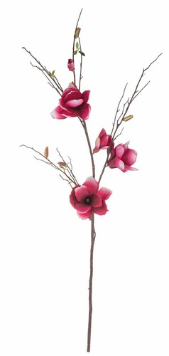 Artplants deko magnolienzweig - artplants,