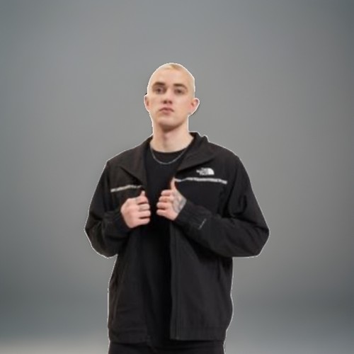 The north face regenjacke - the,