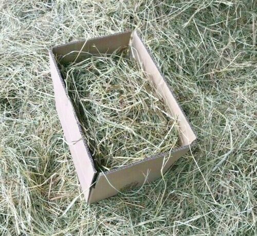 Heu stroh ostern osternest - ostern,