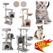 Katzen stabil kratzbaum - katzen,