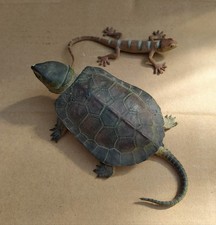 Snapping turtle - ,