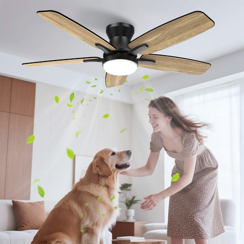 Deckenventilator mit