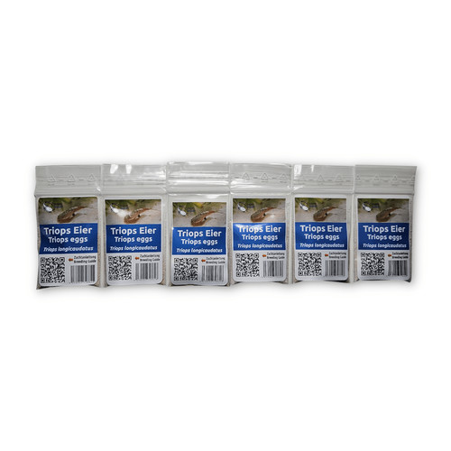 Triops longicaudatus - , –