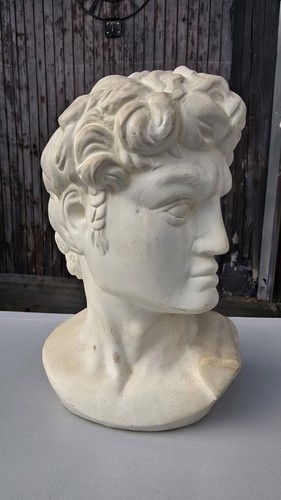 David michelangelo kopf - michelangelo,