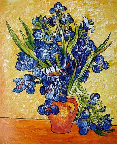 Van gogh irises - gogh,