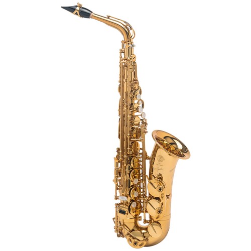 Neu selmer signature - selmer,