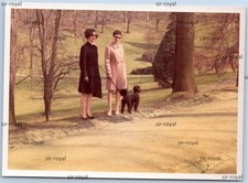 Pretty Woman with Poodle Dog -