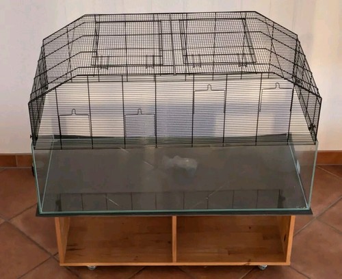 Xxl rennmaus starter set - xxl, starter-set