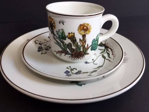 Villeroy boch botaniker - &,