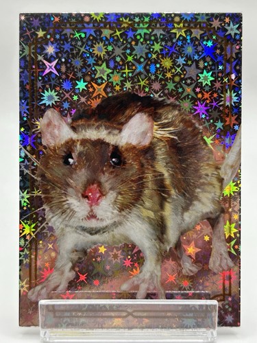 Harry potter magical creature - potter,