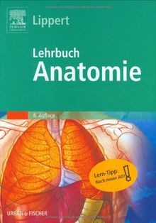 Lehrbuch anatomie von lippert - lehrbuch,
