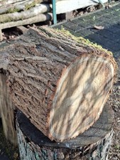 Hauklotz Spaltklotz AKAZIE