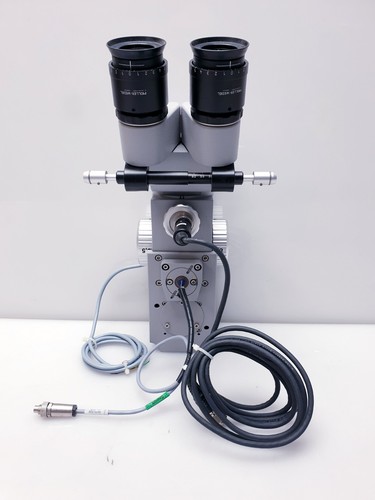 Möller wedel spectrat - wedel, spectrat-3