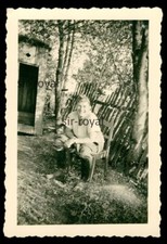 Polen 1939 - Wehrmacht Soldat benutzt Stuhl statt Plumpsklo - WK2 Foto 7x10cm