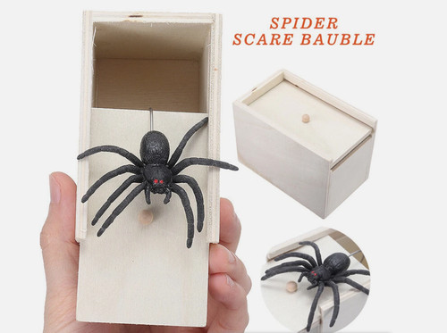 Lustige holzkiste spinne - spinne, im