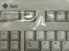 🖥️ Sun Microsystems Type