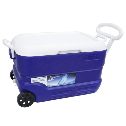 Kühlbox driver mit - kühlbox, rädern