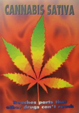 CANNABIS MARIHUANA MARIJUANA