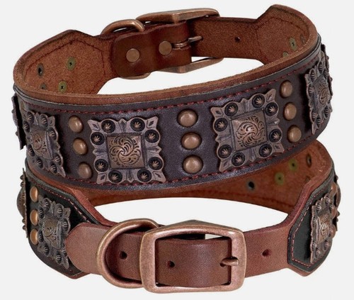 Hundehalsband aus leder - hundehalsband,