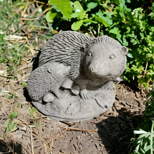 Igel mit jungem frostsichere - igel,