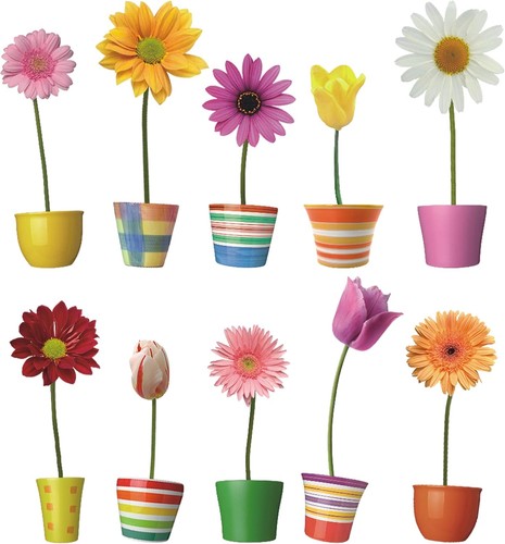 Kairne blumen fenster - blumen,