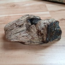 Schwemmholz Treibholz HAMMERTEIL Klotz dick fett  Unikat 20 x 11 x 9 cm