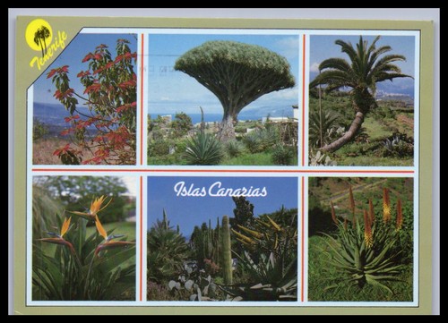 Ansichtskarte teneriffa - teneriffa,