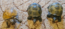 Schleich Spielfiguren