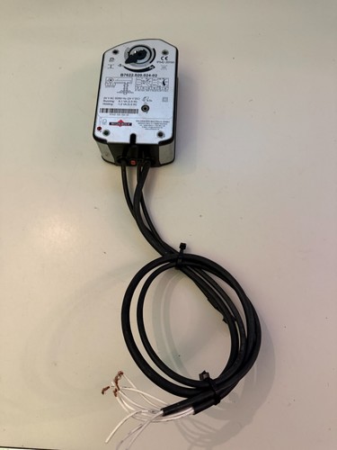 Wildeboer b7622 020 - 5x,