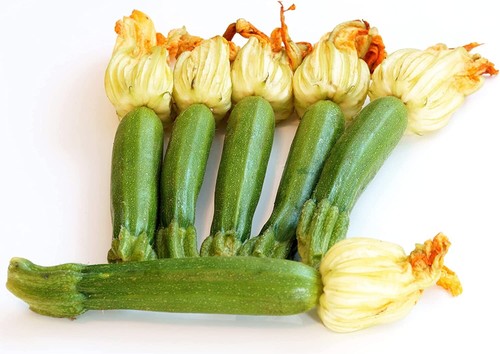 Zucchini ortolana faenza - ortolana, di