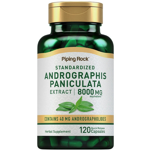 Piping rock andrographis - piping,