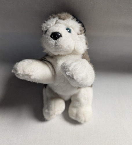 Kuschelwuschel hund husky - kuschelwuschel,