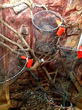 Fischreuse,Aalreuse,Krebsreusen,Köderfischreuse,Reusen,Reuse + Köderdose.Neu!Top