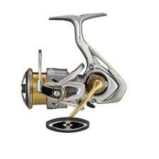 Daiwa 21 Freams LT Spinnrolle