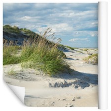 VLIES FOTOTAPETE Tapete Wandbilder XXL Sand Strand Natur Meer Dünen Gras 1697