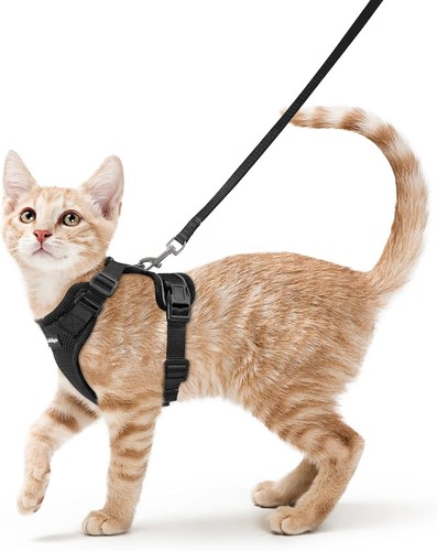 Katzengeschirr schwarz mit - katzengeschirr,