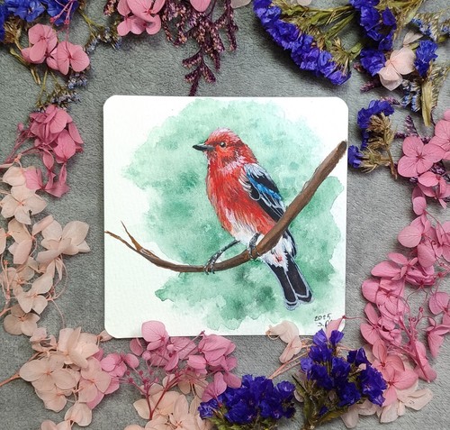 Kleiner vogel aquarellgemälde - vogel,