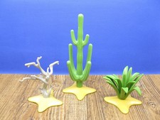 Kaktus, kahler Baum & Agave