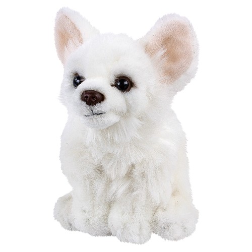 Chihuahua kuscheltier hund - chihuahua,