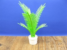 Zimmerpalme Palme Zubehör