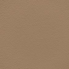 Mercedes Savanna Beige Leather