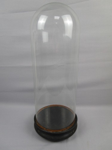 Glasdom stolp mit holzsockel - glasdom, /