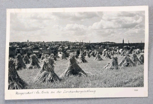 Neugersdorf sachsen ernte - neugersdorf,