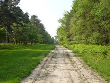 Foto 6x4 Fahrt, Swinley Forest