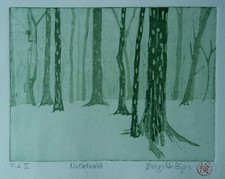 Nebelwald Original Aquatinta