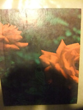 Fotoalbum - Alt - 1980er - Skandinavienreise / Norwegen usw. - Komplett