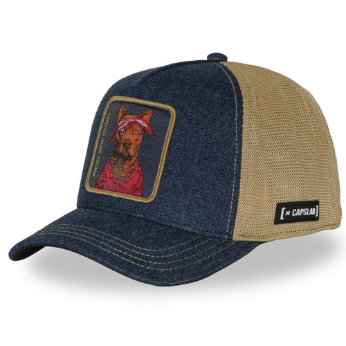 Capslab trucker cap finitions - trucker,