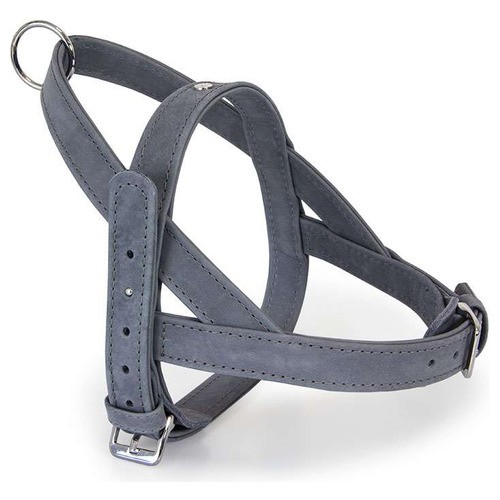 Das lederband hunde - das,