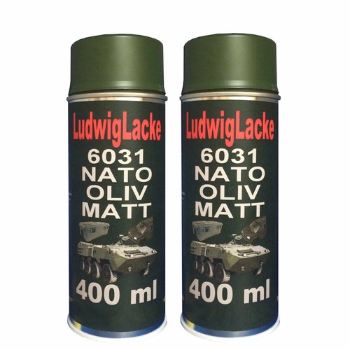 Spraydosen 400ml ral 6031 - ral,
