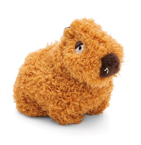 Capybara sitzendes - capybara,